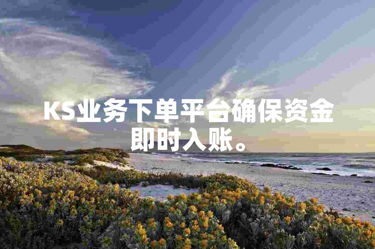 KS业务下单平台确保资金即时入账。