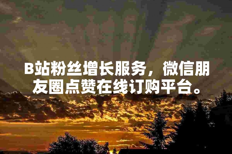 B站粉丝增长服务，微信朋友圈点赞在线订购平台。