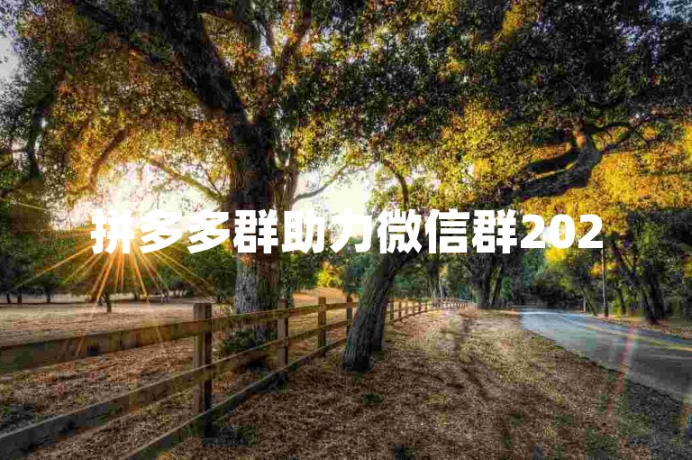 拼多多群助力微信群2025免费，pdd砍价平台提供优惠。
