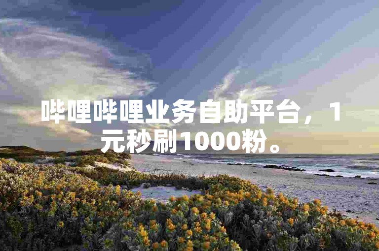 哔哩哔哩业务自助平台，1元秒刷1000粉。