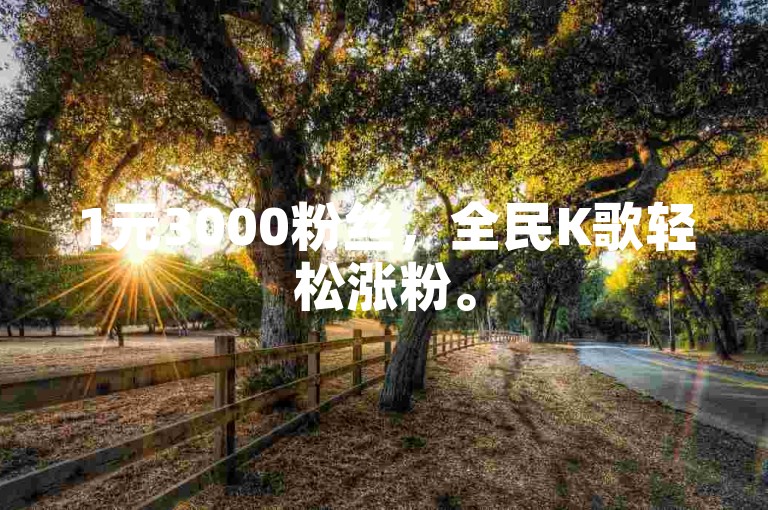 1元3000粉丝，全民K歌轻松涨粉。