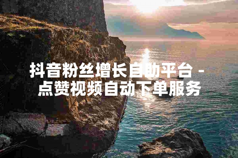 抖音粉丝增长自助平台 - 点赞视频自动下单服务