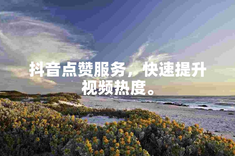 抖音点赞服务，快速提升视频热度。