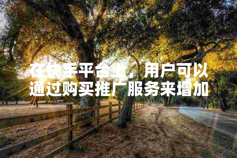 在快手平台上，用户可以通过购买推广服务来增加视频的曝光度。