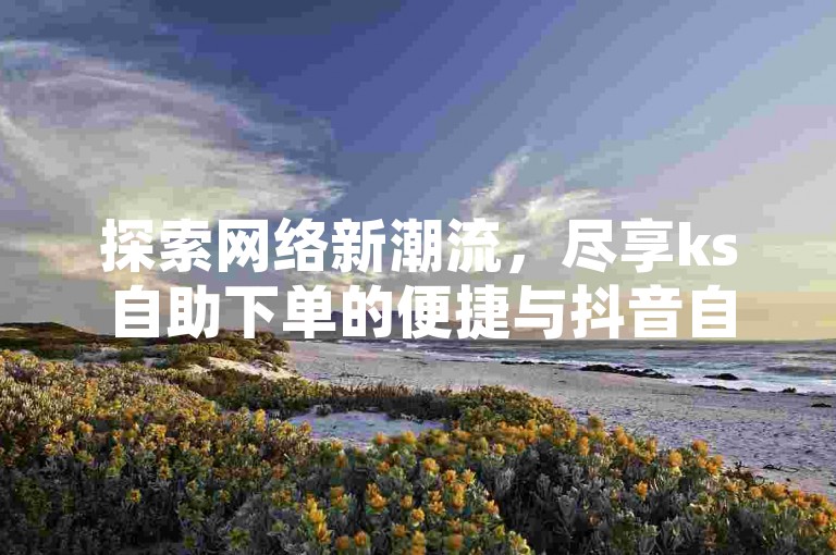 探索网络新潮流，尽享ks自助下单的便捷与抖音自助业务的全网最低价优势。
