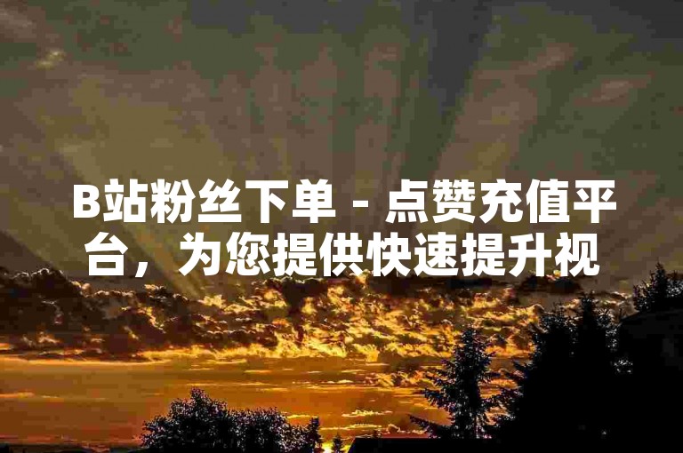 B站粉丝下单 - 点赞充值平台，为您提供快速提升视频热度的服务。