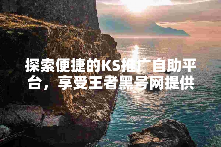 探索便捷的KS推广自助平台，享受王者黑号网提供的低价卡盟服务。