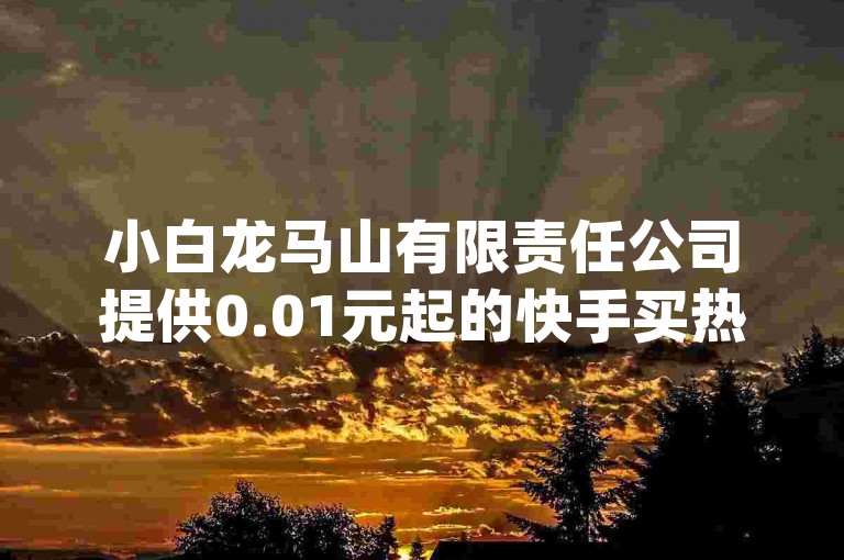 小白龙马山有限责任公司提供0.01元起的快手买热度服务，欢迎使用我们的qq主页互赞链接。
