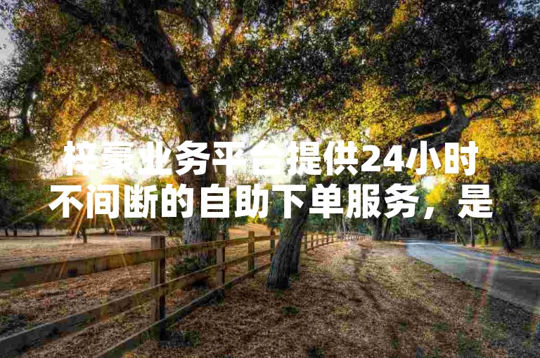 梓豪业务平台提供24小时不间断的自助下单服务，是快手卡盟中最经济实惠的选择。
