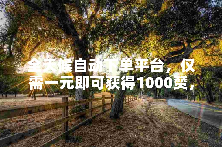 全天候自动下单平台，仅需一元即可获得1000赞，支持快速到账服务。