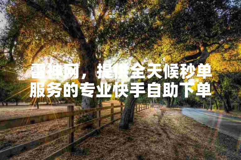 雷神网，提供全天候秒单服务的专业快手自助下单平台。