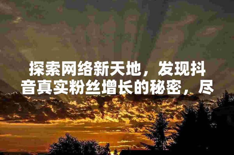 探索网络新天地，发现抖音真实粉丝增长的秘密，尽在卡盟直供货源网站——您的QQ业务超值选择，以及B站视频播放量提升的自助神器。