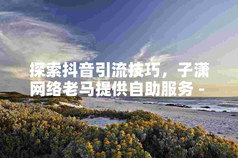 探索抖音引流技巧，子潇网络老马提供自助服务 - 快手视频点赞1元享100赞 - 快速响应的ks业务秒单平台。