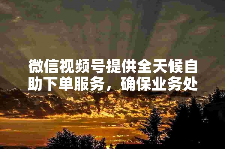 微信视频号提供全天候自助下单服务，确保业务处理高效且由真实用户操作。