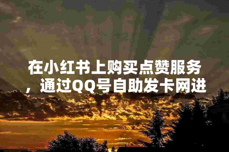 在小红书上购买点赞服务，通过QQ号自助发卡网进行交易。