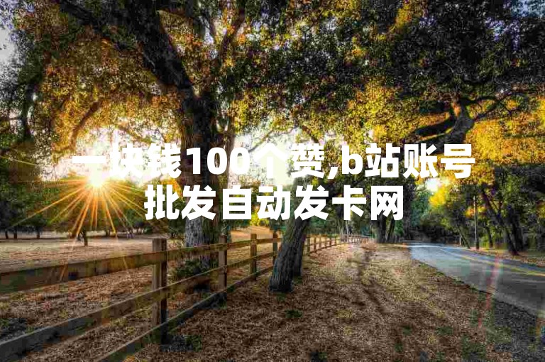 一块钱100个赞,b站账号批发自动发卡网