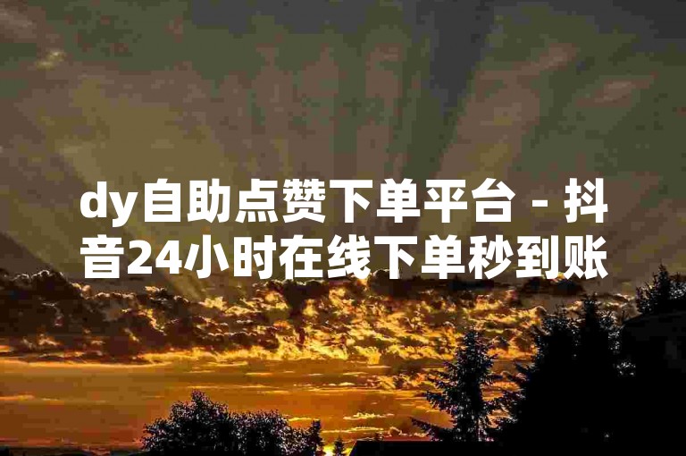 dy自助点赞下单平台 - 抖音24小时在线下单秒到账