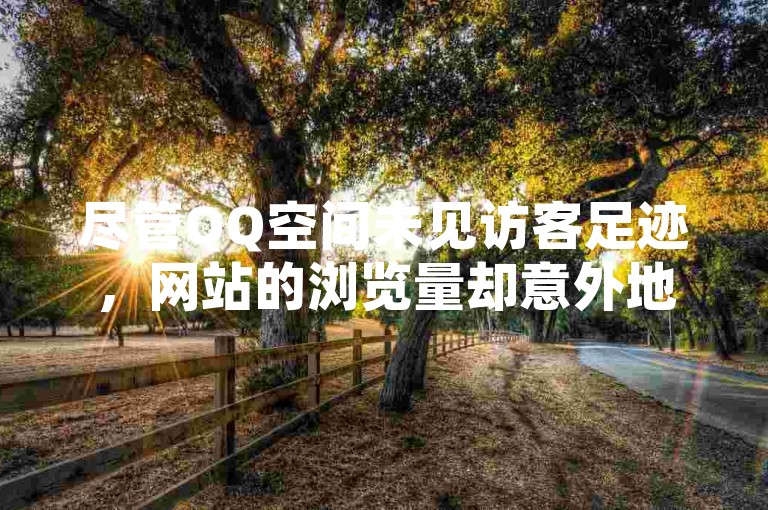 尽管QQ空间未见访客足迹，网站的浏览量却意外地居高不下。