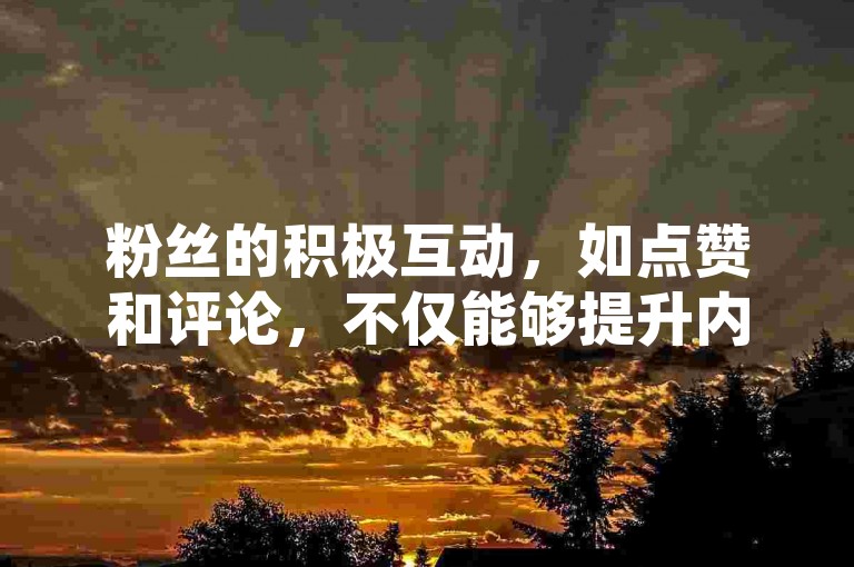 粉丝的积极互动，如点赞和评论，不仅能够提升内容的可见度，还能增强创作者与观众之间的联系。