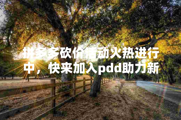 拼多多砍价活动火热进行中，快来加入pdd助力新人微信群，享受免费互助的乐趣吧！