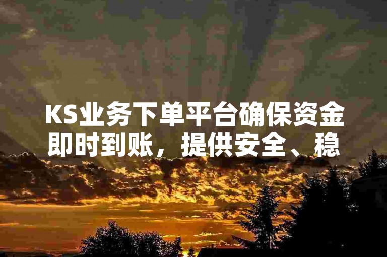 KS业务下单平台确保资金即时到账，提供安全、稳定且高质量的服务，是新用户的理想选择！
