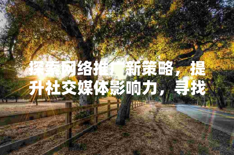 探索网络推广新策略，提升社交媒体影响力，寻找高效的qq空间访客增长工具。