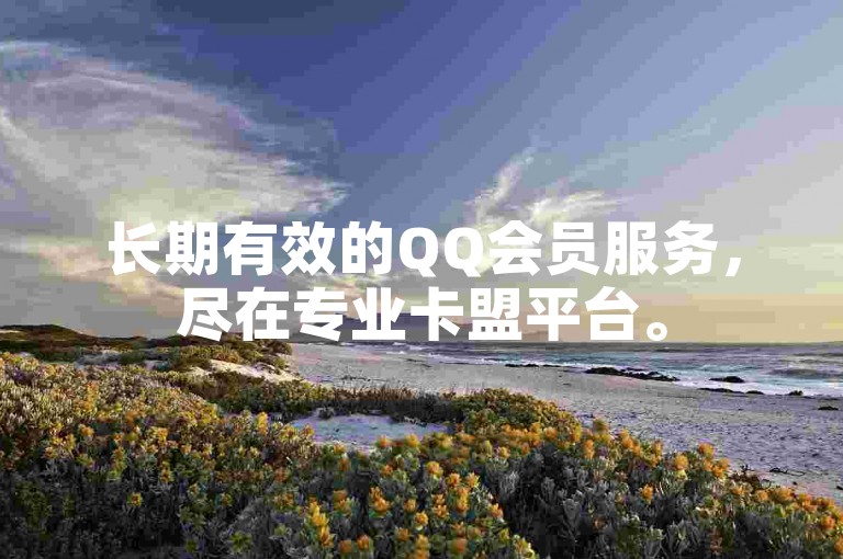 长期有效的QQ会员服务，尽在专业卡盟平台。