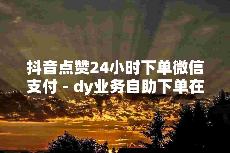 抖音点赞24小时下单微信支付 - dy业务自助下单在线低价。