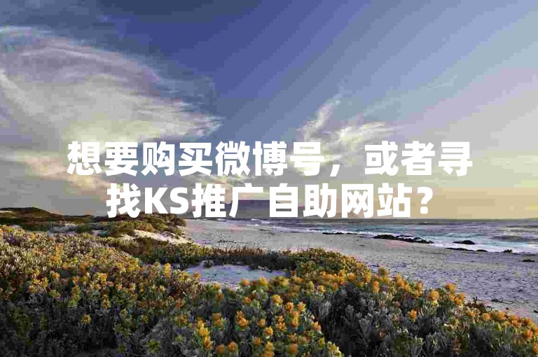 想要购买微博号，或者寻找KS推广自助网站？