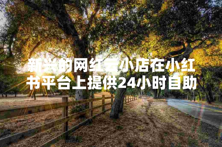 新兴的网红云小店在小红书平台上提供24小时自助发卡服务，吸引了大量白号用户。