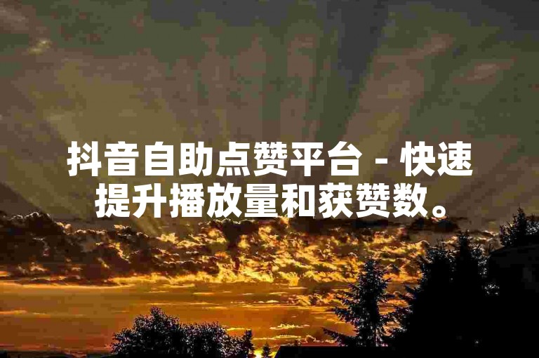 抖音自助点赞平台 - 快速提升播放量和获赞数。