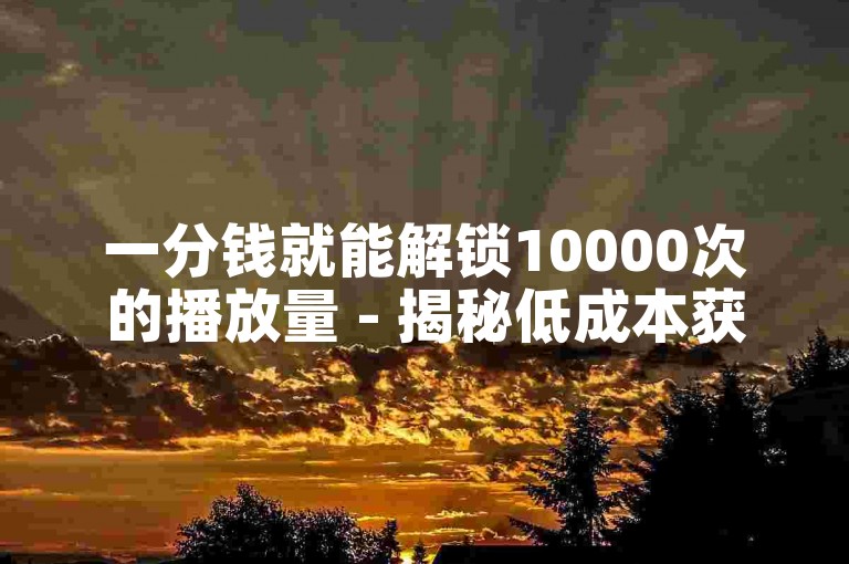 一分钱就能解锁10000次的播放量 - 揭秘低成本获取高曝光的独家策略！