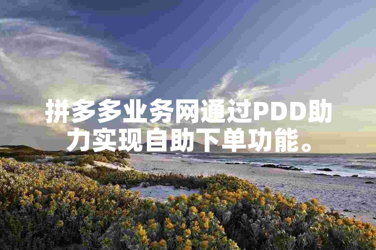 拼多多业务网通过PDD助力实现自助下单功能。