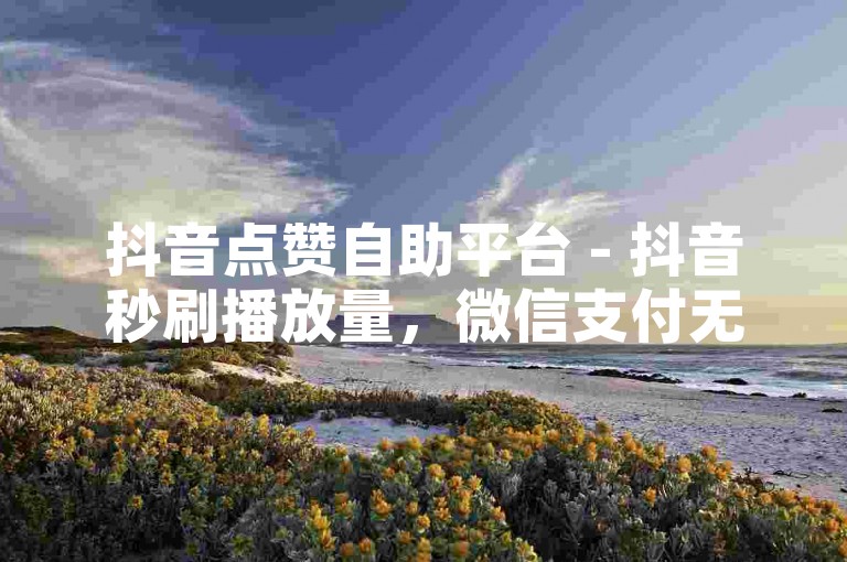 抖音点赞自助平台 - 抖音秒刷播放量，微信支付无障碍。