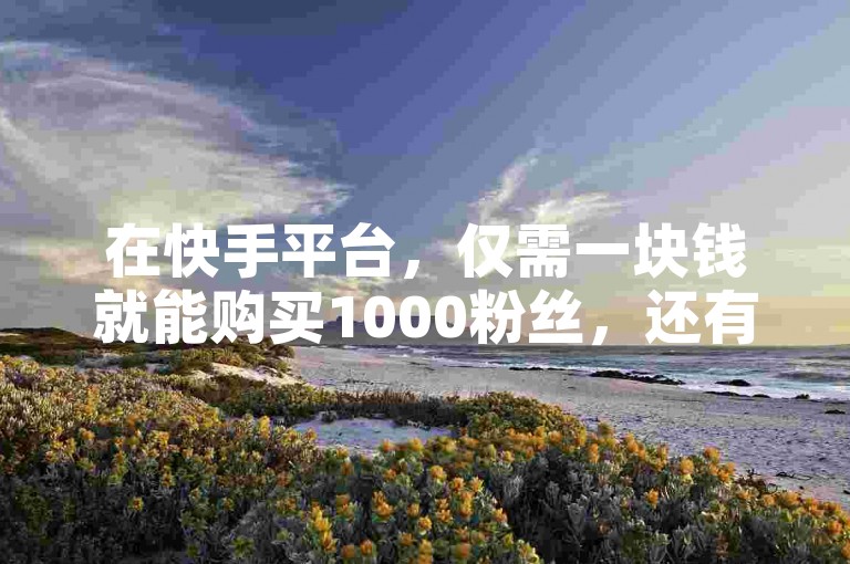 在快手平台，仅需一块钱就能购买1000粉丝，还有包含111个赞的自助云商城服务可供选择。