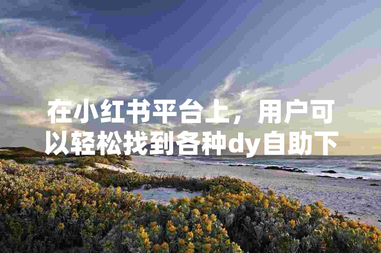 在小红书平台上，用户可以轻松找到各种dy自助下单业务的低价评论服务。