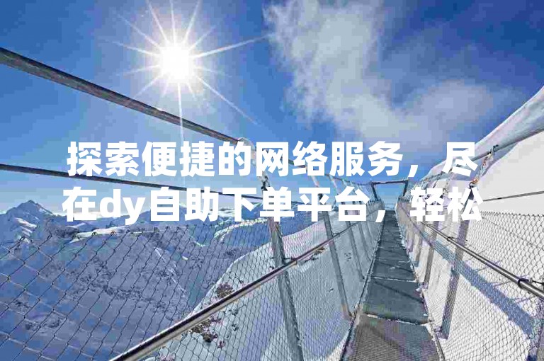 探索便捷的网络服务，尽在dy自助下单平台，轻松实现业务快速处理。