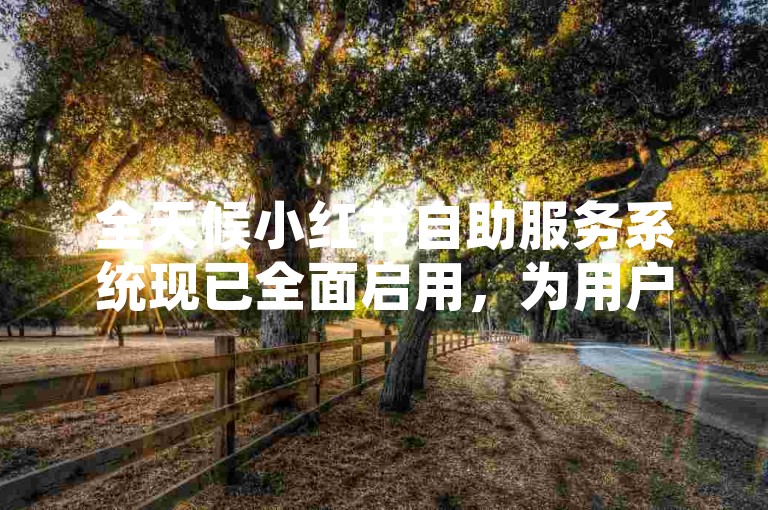 全天候小红书自助服务系统现已全面启用，为用户提供不间断的支持。