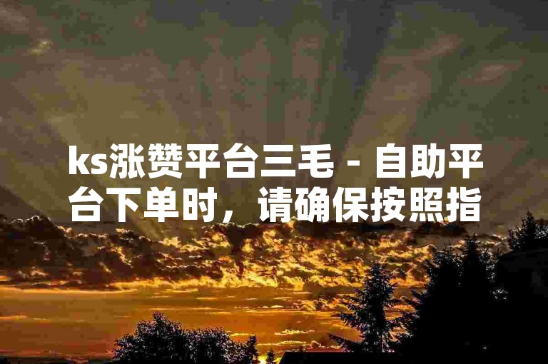 ks涨赞平台三毛 - 自助平台下单时，请确保按照指定方式进行付款。
