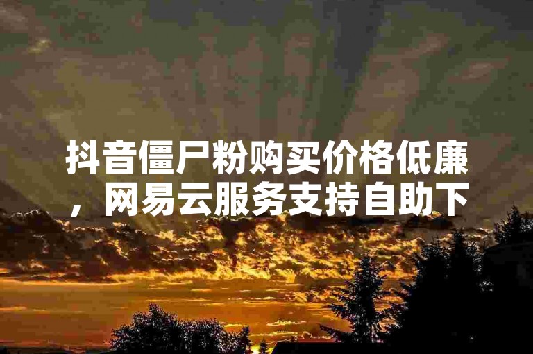 抖音僵尸粉购买价格低廉，网易云服务支持自助下单。