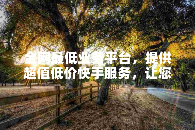 全网最低业务平台，提供超值低价快手服务，让您轻松享受优惠。