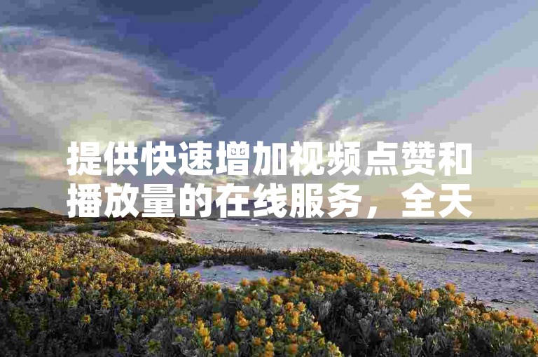 提供快速增加视频点赞和播放量的在线服务，全天候自助操作。