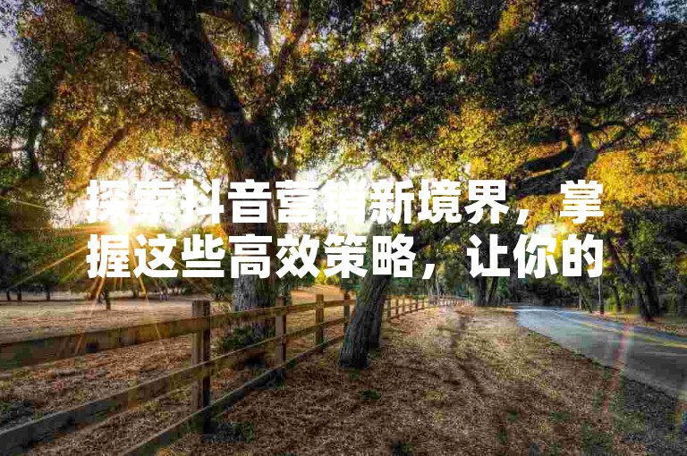 探索抖音营销新境界，掌握这些高效策略，让你的产品在2025年大放异彩！