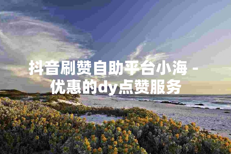 抖音刷赞自助平台小海 - 优惠的dy点赞服务