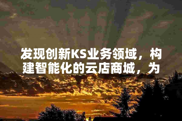 发现创新KS业务领域，构建智能化的云店商城，为您提供流畅的购物旅程和丰富的商业机遇。