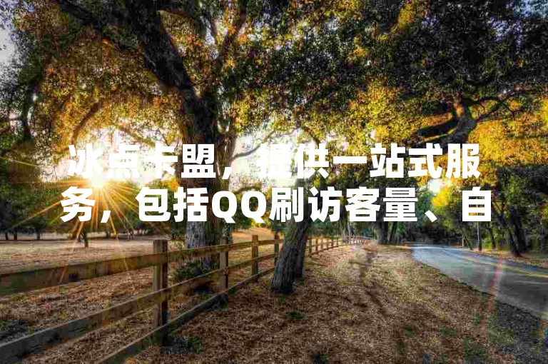 冰点卡盟，提供一站式服务，包括QQ刷访客量、自助下单商城以及B站业务自助平台。