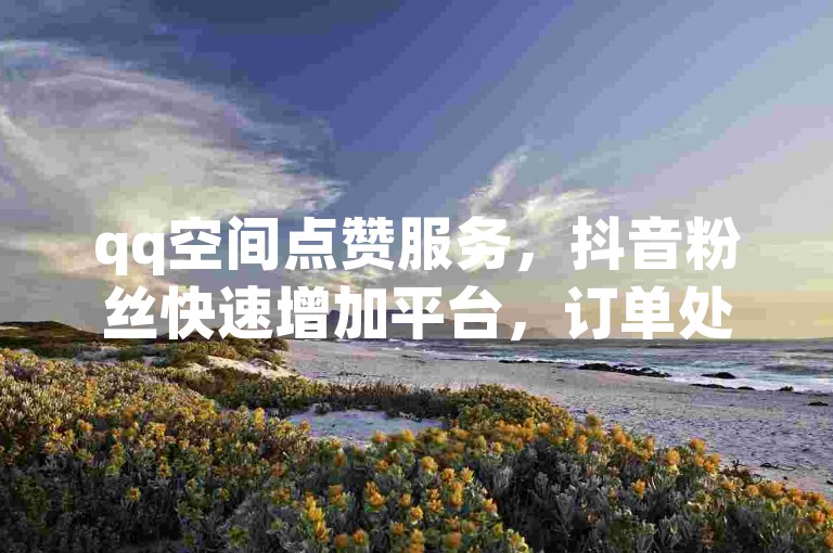 qq空间点赞服务，抖音粉丝快速增加平台，订单处理迅速。