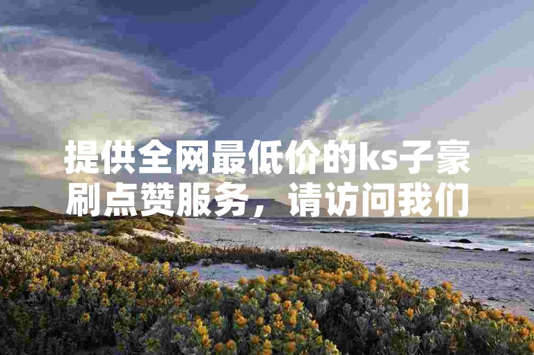 提供全网最低价的ks子豪刷点赞服务，请访问我们的专业网址。