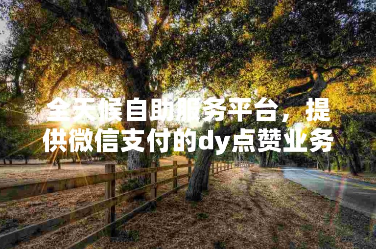 全天候自助服务平台，提供微信支付的dy点赞业务。