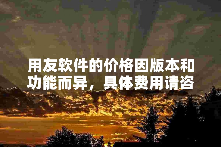 用友软件的价格因版本和功能而异，具体费用请咨询官方或授权经销商。
